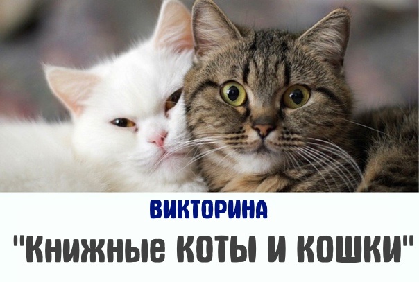 книжные коты и кошки